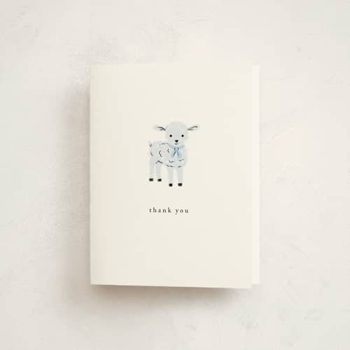 This is a sky kids thank you cards with standard by mo kelley called little lamb printing on strathmore in standard