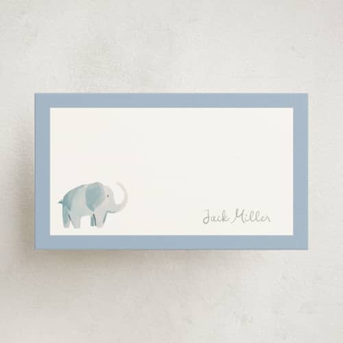 This is a sky small cards with standard by Teju Reval called safari friends printing on signature in 4.25x5.5