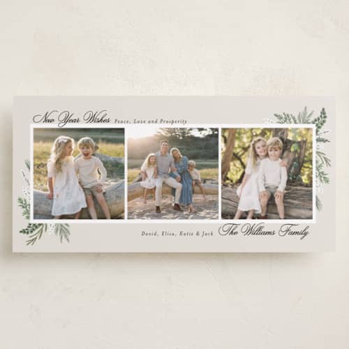 This is a frost holiday photo cards with standard by Susan Moyal called warmest wish printing on recycled smooth signature in tall