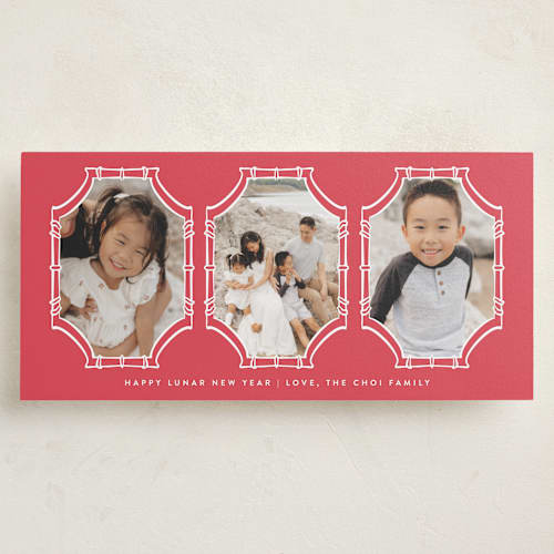 This is a cherry holiday photo cards with standard by Nicoletta Savod called bamboo frames printing on recycled smooth signature in tall