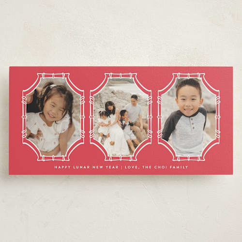 This is a cherry holiday photo cards with standard by Nicoletta Savod called bamboo frames printing on signature in tall