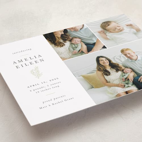 This is a sage birth announcements with standard by Sarah Brown called tiny sprig printing on recycled smooth signature in standard