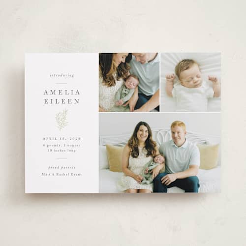 This is a sage birth announcements with standard by Sarah Brown called tiny sprig printing on recycled smooth signature in standard