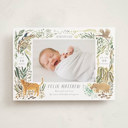 This is a jungle birth announcements with standard by Morgan Ramberg called jungle friends printing on recycled smooth signature in standard