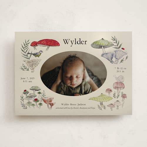 This is a lichen birth announcements with standard by Bonnie Davis called woodland wonder printing on recycled smooth signature in standard