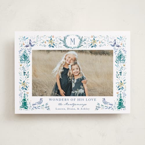 This is a blue spruce photo christmas cards with standard by Petra Kern called wonders of nature printing on recycled smooth signature in standard
