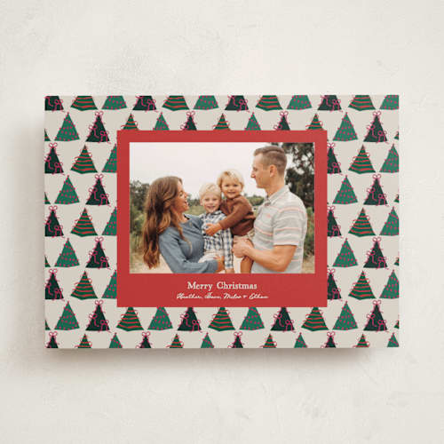 This is a cardinal photo christmas cards with standard by Owl and Toad called acres printing on recycled smooth signature in standard