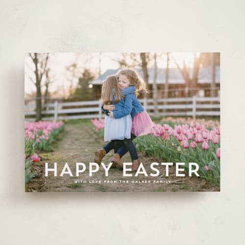 This is a lily easter photo cards with standard by Hooray Creative called modern easter printing on recycled smooth signature in standard