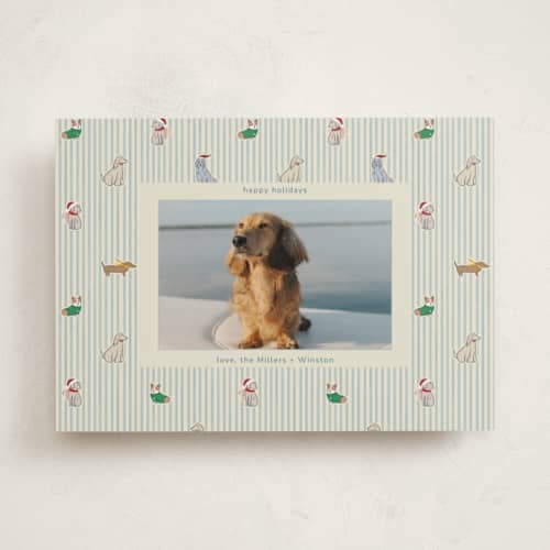 This is a frost holiday photo cards with standard by Daisyworks Studio called paws & pinstripes printing on recycled smooth signature in standard