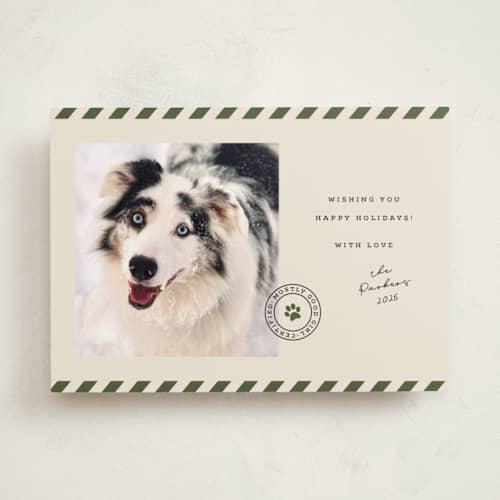 This is a forest holiday photo cards with standard by Roxy Cervantes called mostly good printing on recycled smooth signature in standard