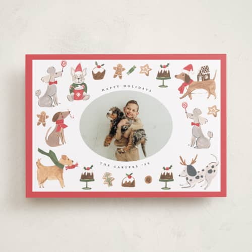 This is a berry holiday photo cards with standard by Teju Reval called festive dogs printing on recycled smooth signature in standard