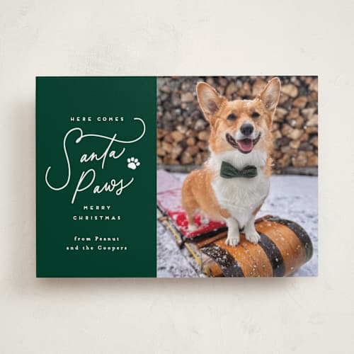 This is a wintergreen holiday photo cards with standard by Everett Paper Goods called here comes santa paws printing on recycled smooth signature in standard