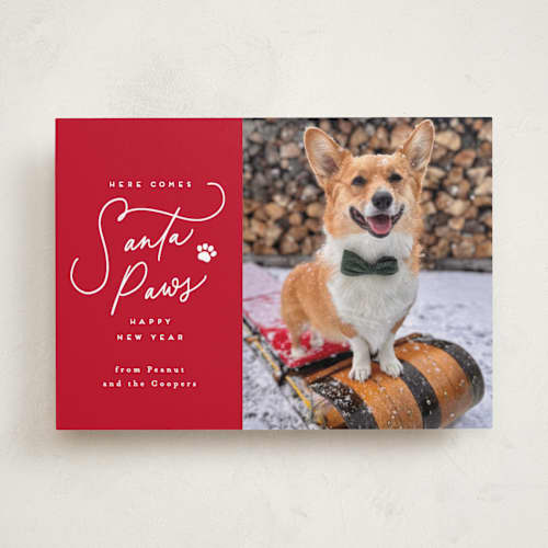 This is a candied apple holiday photo cards with standard by Everett Paper Goods called here comes santa paws printing on recycled smooth signature in standard