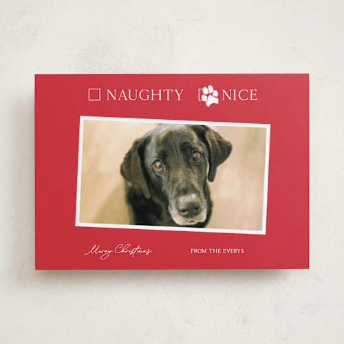 This is a poinsettia holiday photo cards with standard by Kat Roberts called nice pup printing on recycled smooth signature in standard