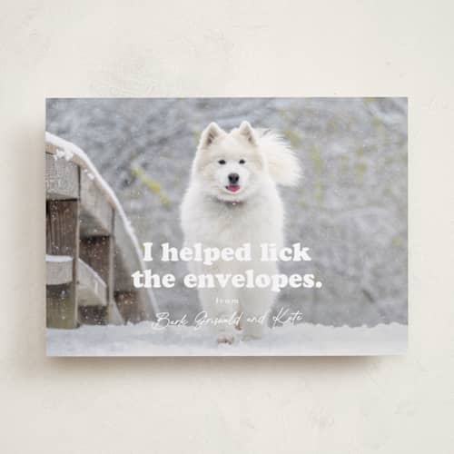 This is a bone holiday photo cards with standard by Hudson meet Rose called helping printing on recycled smooth signature in standard