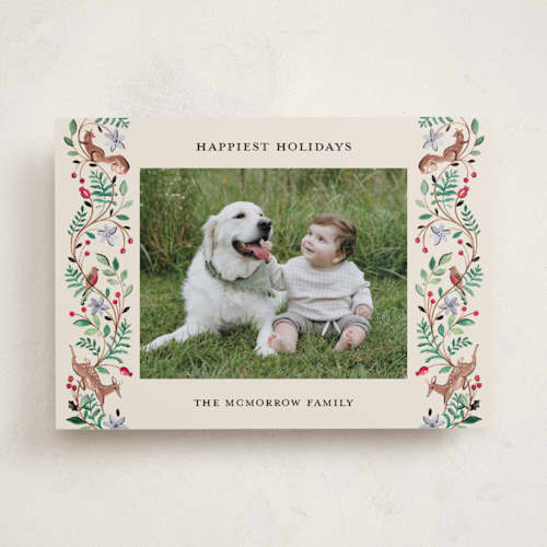 This is a cranberry holiday photo cards with standard by Sarah Knight called highlands printing on recycled smooth signature in standard