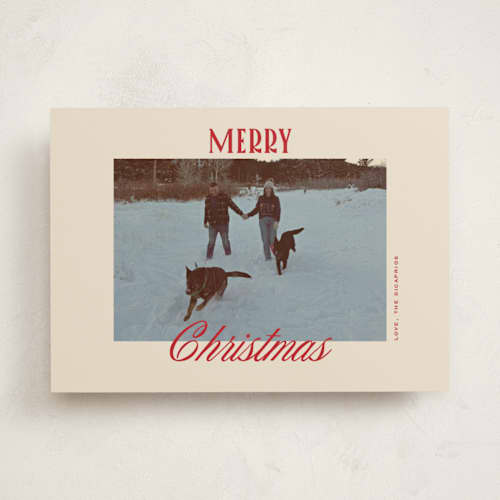 This is a stocking holiday photo cards with standard by Creo Study called modern classic printing on recycled smooth signature in standard