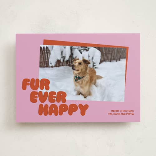 This is a berry holiday photo cards with standard by Inkblot Design called furever printing on recycled smooth signature in standard