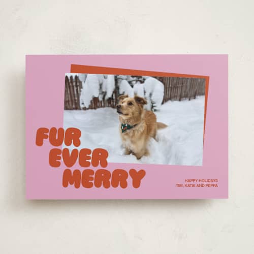 This is a berry holiday photo cards with standard by Inkblot Design called furever printing on recycled smooth signature in standard