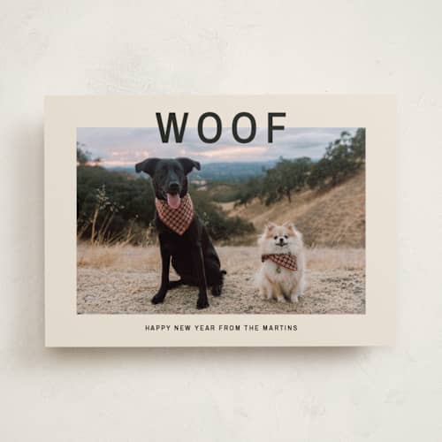 This is a cream holiday photo cards with standard by Ani Somi called big bold type printing on recycled smooth signature in standard