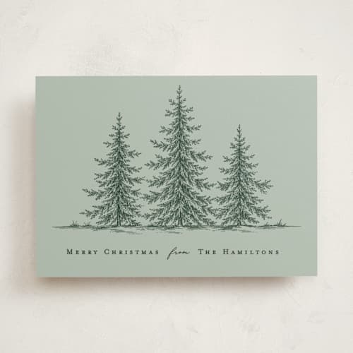 This is a golden sage non photo holiday cards with standard by Rebecca Rueth called evergreen holiday printing on signature in standard
