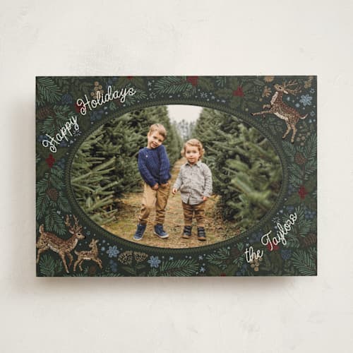 This is a pine needle holiday photo cards with standard by Jenna Holcomb called embroidered forest printing on signature in standard