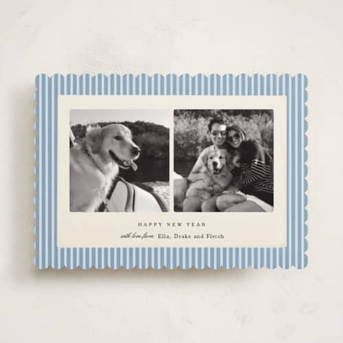 This is a powder new year photo cards with standard by Sara Hicks Malone called pinstripe printing on recycled smooth signature in standard
