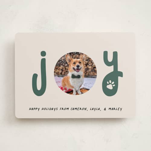 This is a juniper holiday photo cards with standard by Louise Kay called joyful pet printing on recycled smooth signature in standard