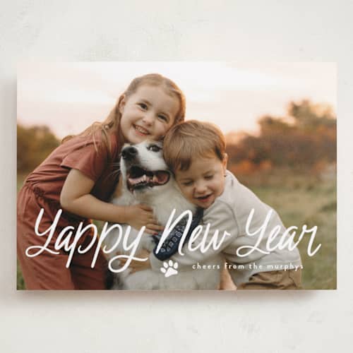 This is a snow holiday photo cards with standard by Annie Holmquist called unleashed printing on recycled smooth signature in grand