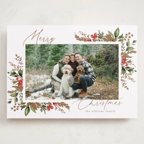 This is a snow holiday photo cards with standard by Chris Griffith called a sparkle of holiday printing on recycled smooth signature in grand