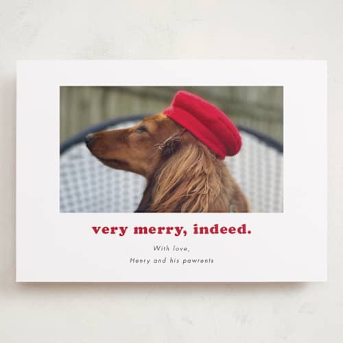 This is a peppermint holiday photo cards with standard by Kristen Knechtel called indeed printing on recycled smooth signature in grand