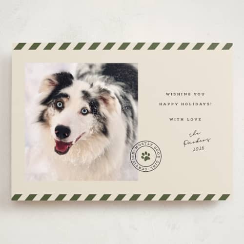 This is a forest holiday photo cards with standard by Roxy Cervantes called mostly good printing on recycled smooth signature in grand