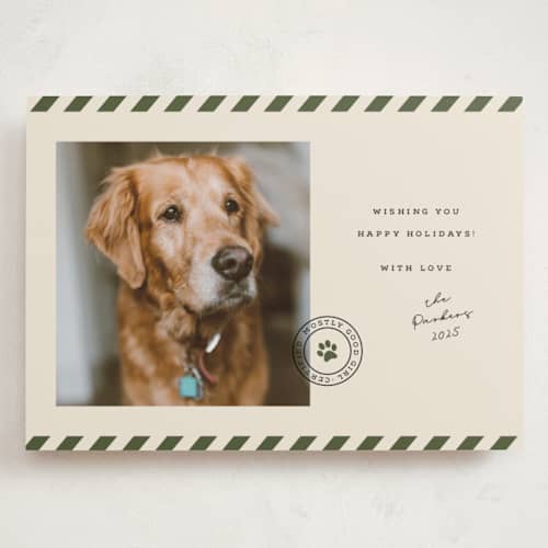 This is a forest holiday photo cards with standard by Roxy Cervantes called mostly good printing on recycled smooth signature in grand