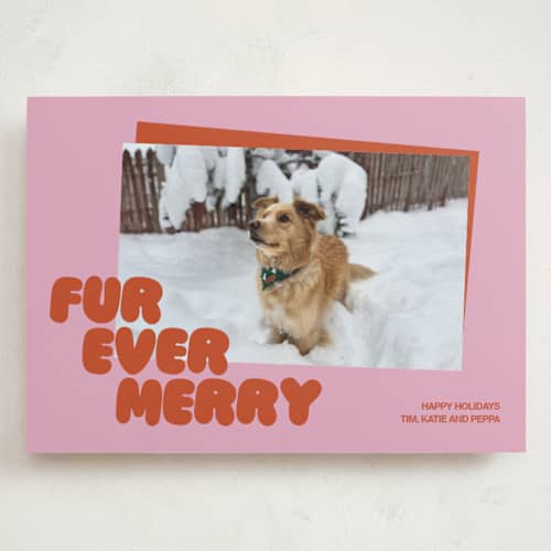 This is a berry holiday photo cards with standard by Inkblot Design called furever printing on signature in grand