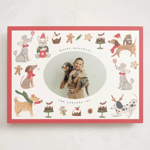 This is a berry holiday photo cards with standard by Teju Reval called festive dogs printing on signature in grand