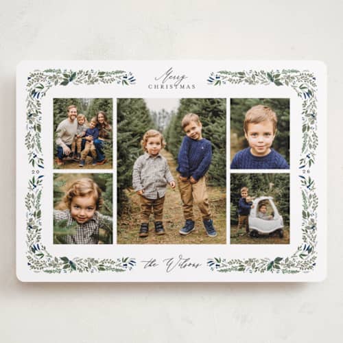 This is a winter berry holiday photo cards with standard by Susan Moyal called holly & pine printing on recycled smooth signature in grand