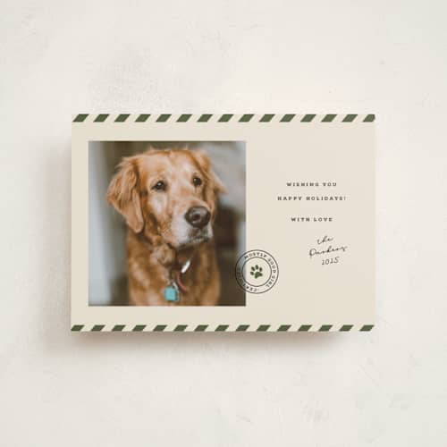 This is a forest petite holiday cards with standard by Roxy Cervantes called mostly good printing on recycled smooth signature in petite