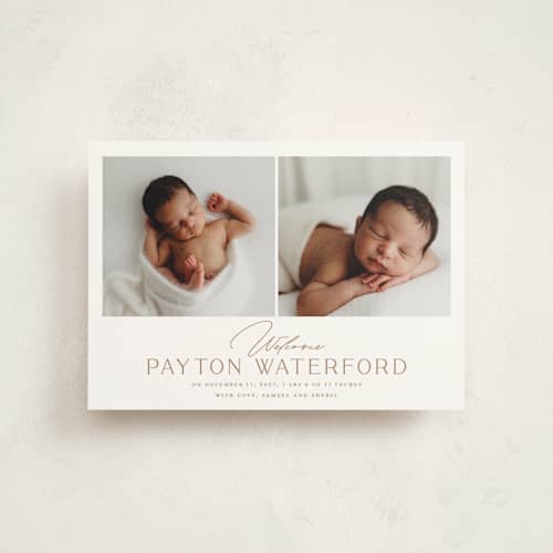 This is a cocoa birth announcement postcards with standard by chocomocacino called gujiya printing on signature in postcard