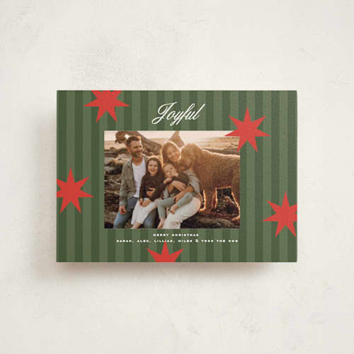 This is a spruce petite holiday cards with standard by Owl and Toad called constellation printing on signature in petite
