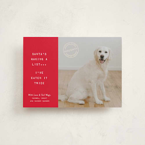 This is a holly christmas postcards with standard by The Social Type called naughty holiday dog printing on signature in postcard