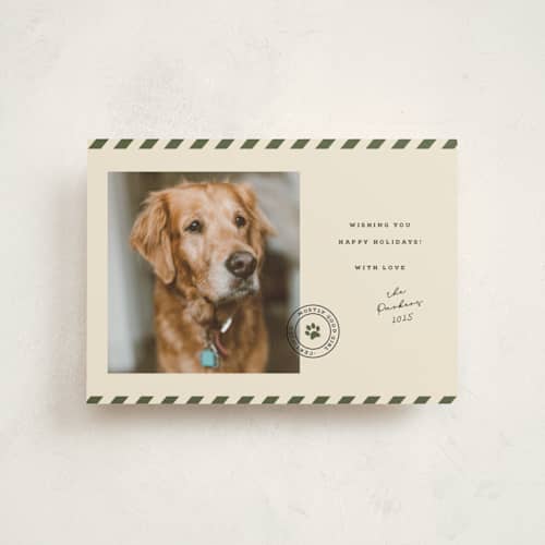 This is a forest christmas postcards with standard by Roxy Cervantes called mostly good printing on signature in postcard