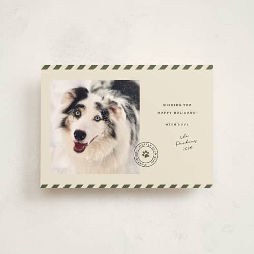 This is a forest christmas postcards with standard by Roxy Cervantes called mostly good printing on signature in postcard