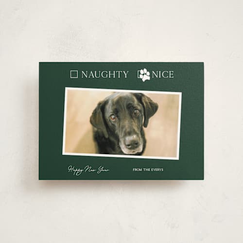 This is a forest christmas postcards with standard by Kat Roberts called nice pup printing on signature in postcard