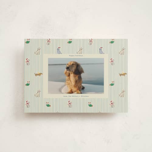 This is a frost christmas postcards with standard by Daisyworks Studio called paws & pinstripes printing on signature in postcard