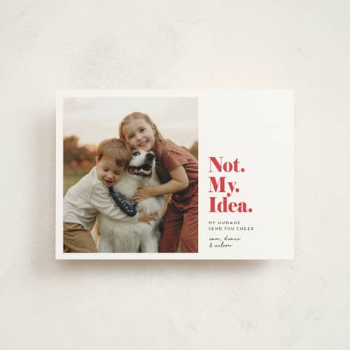 This is a bright red christmas postcards with standard by Penny Eversole called not my idea pet card printing on signature in postcard