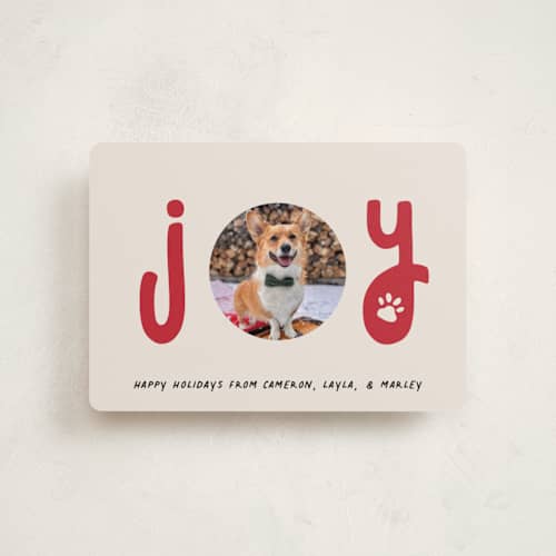 This is a candy cane petite holiday cards with standard by Louise Kay called joyful pet printing on recycled smooth signature in petite