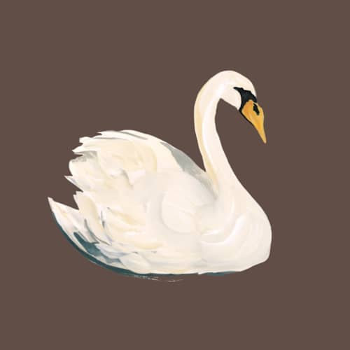 This is a leather enclosure cards with standard by Teju Reval called painted swan printing on signature in mini