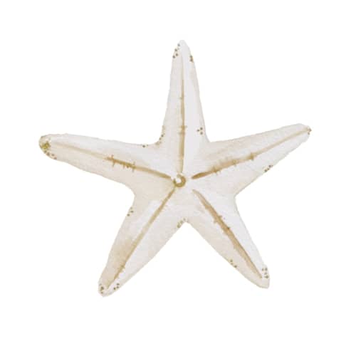 This is a sand enclosure cards with standard by Itsy Belle Studio called watercolor starfish printing on signature in mini