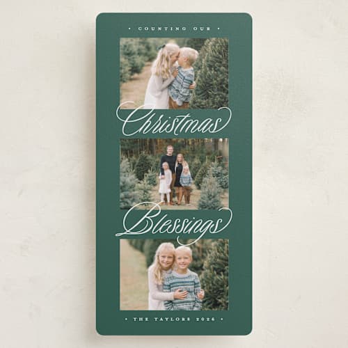 This is a winter pine holiday photo cards with standard by Erica Krystek called christmas trio printing on recycled smooth signature in tall