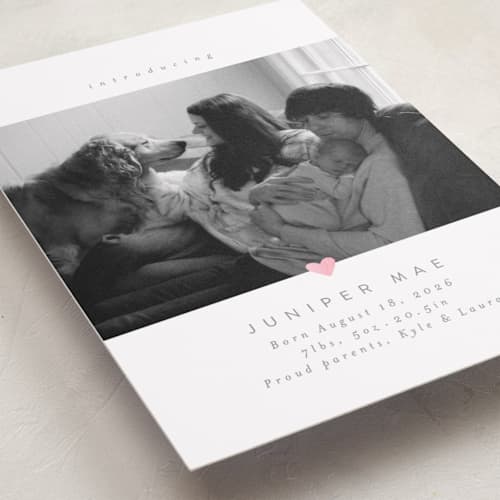 This is a cloud foil stamped birth announcements with foil pressed by Carolyn Nicks called love bug printing on recycled smooth signature in standard